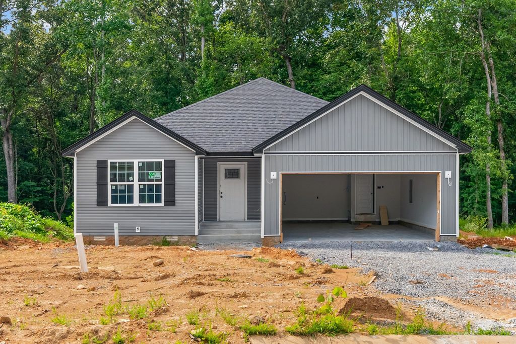 313 Tisha Ct, Clarksville