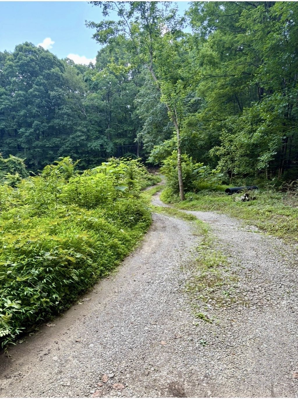 1431 Roarks Cove Rd, Sewanee