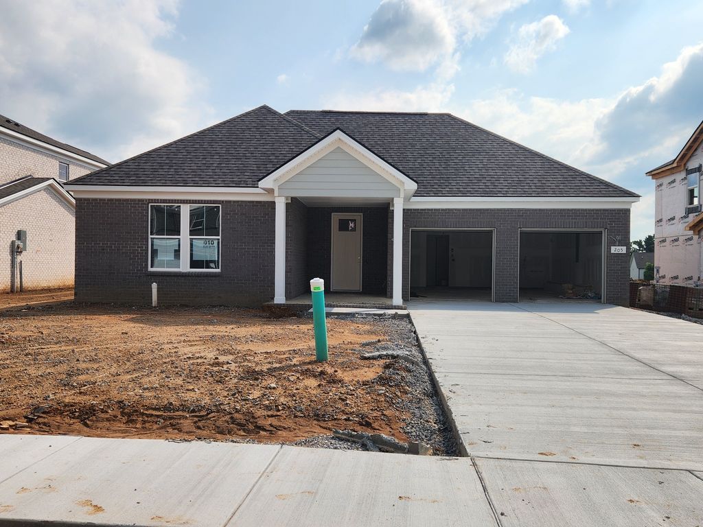 205 Ashdale Drive, Mount Juliet