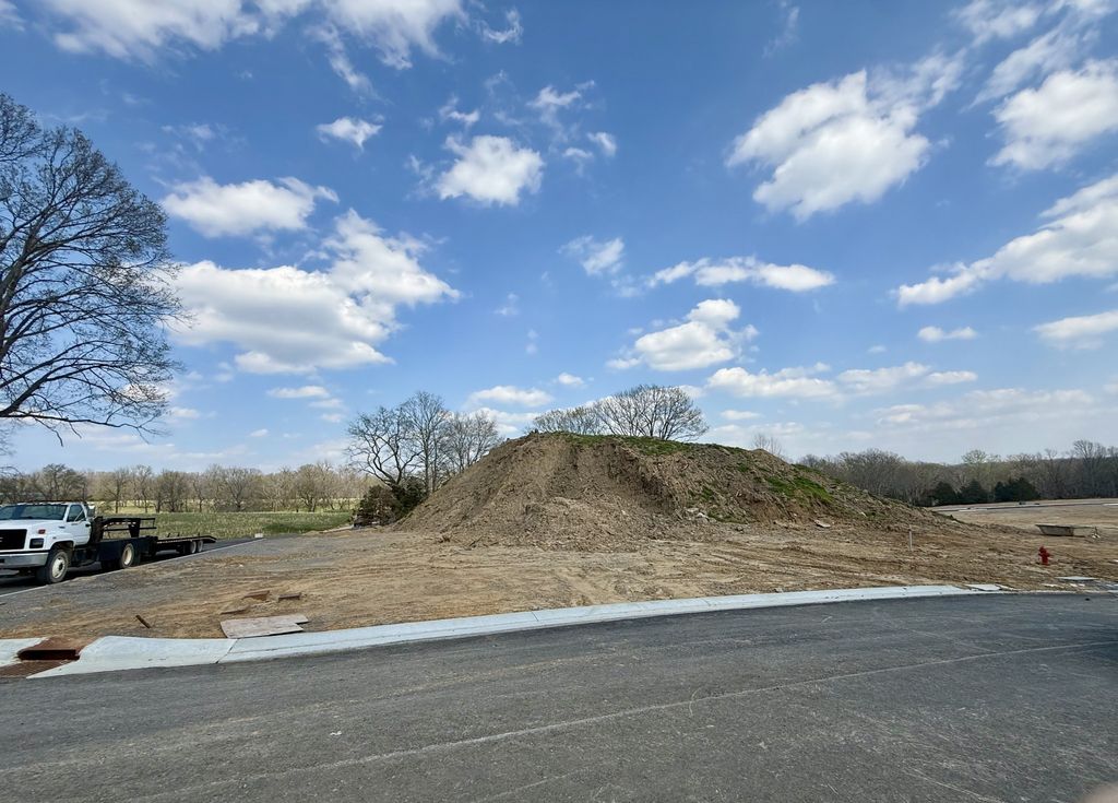 6130 St Charles Dr, Arrington