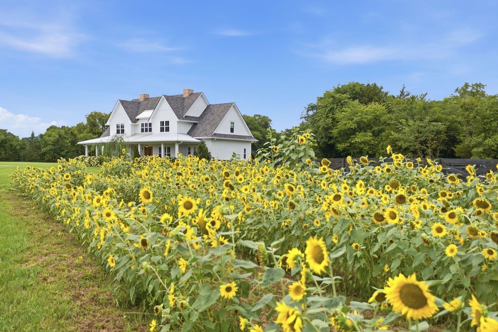 8028 Miller Rd, Christiana