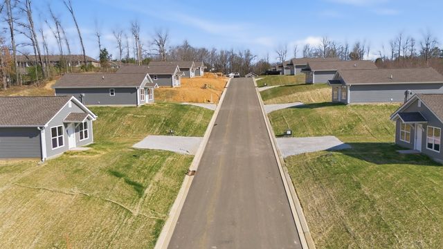 118 Hill Place Court, Dickson