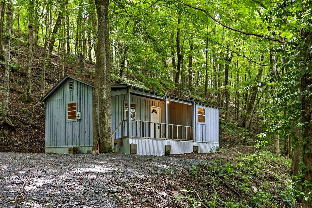 225 Coys Cove Ln, Gainesboro