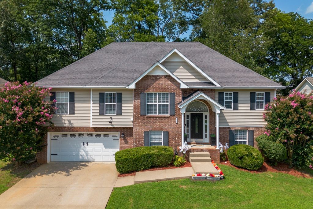 3121 Holly Pt, Clarksville