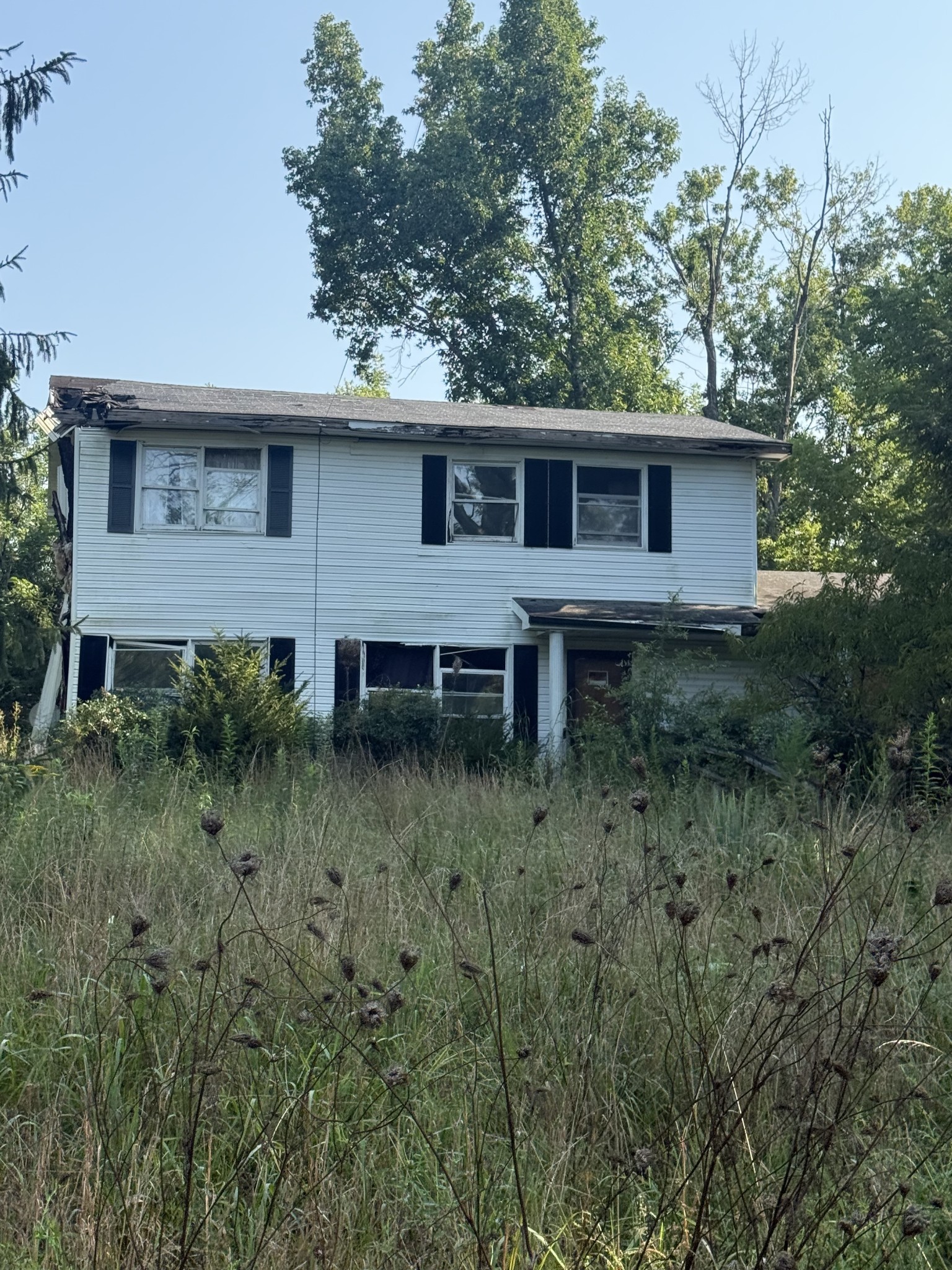 Photo of Listing #3510480