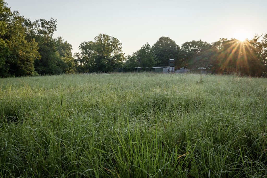 1125 Dawson Road, White Bluff