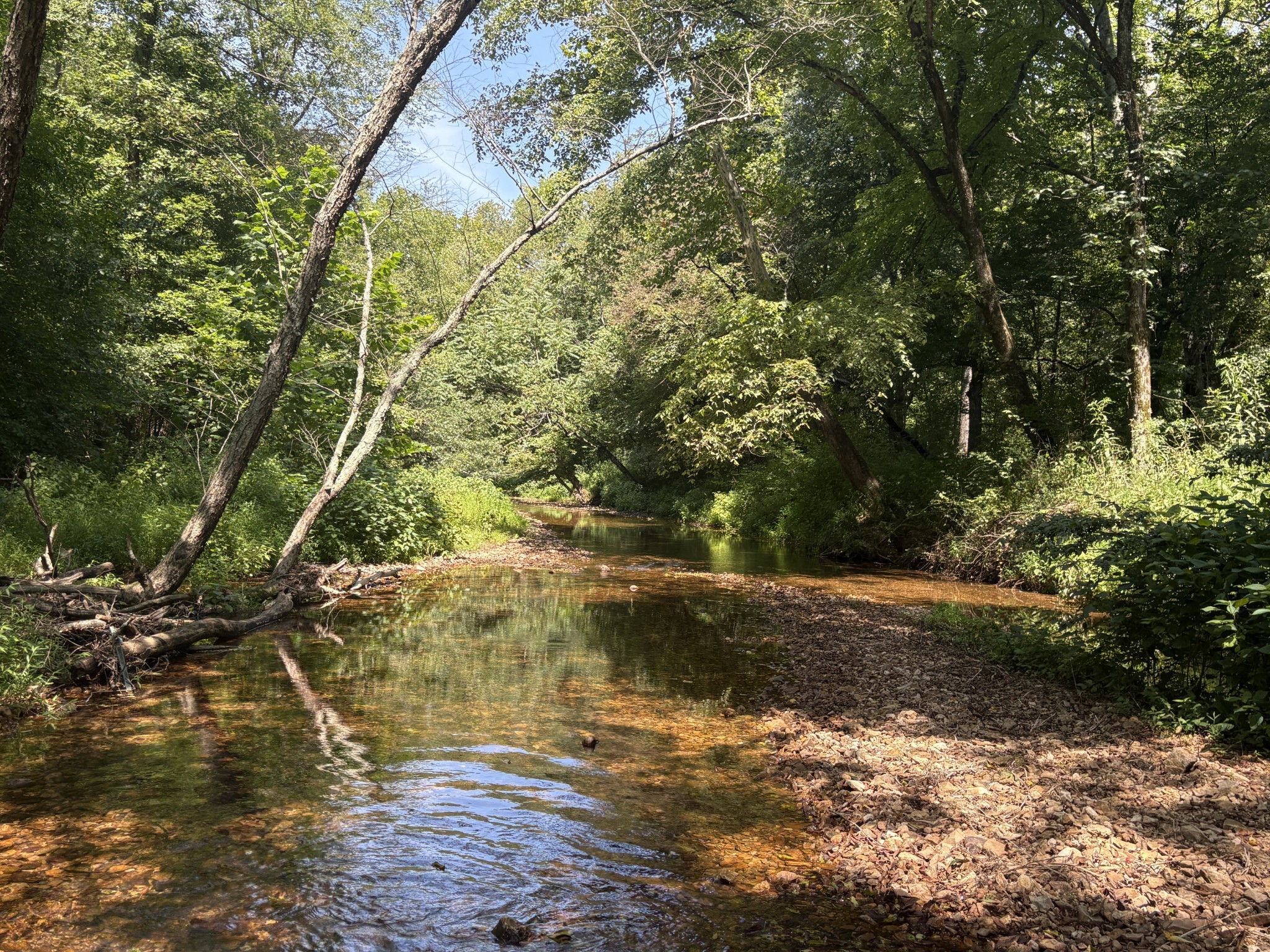 Waverly Real Estate - Residential for sale