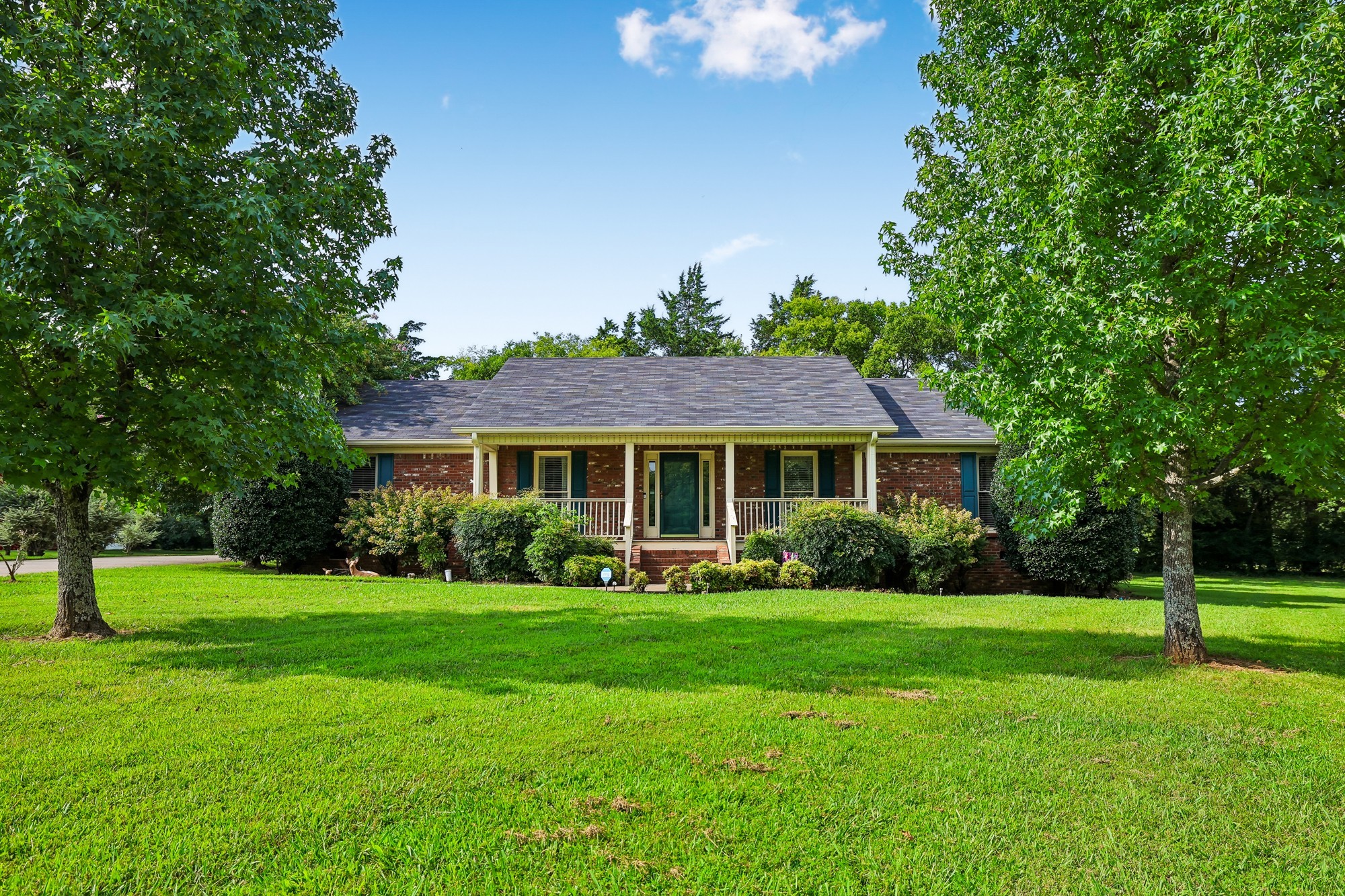 Photo of Listing #3514270