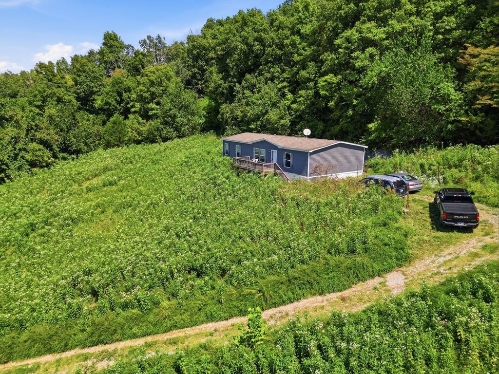 349 Young Branch Rd, Dixon Springs