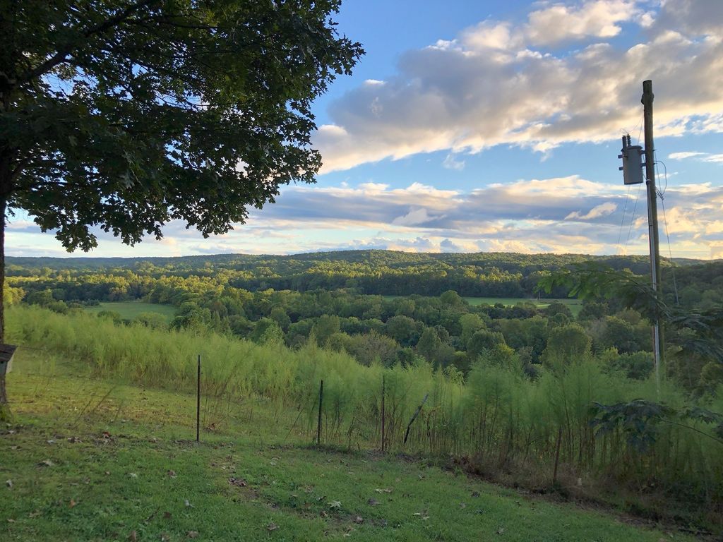 199 Dixon Ln, Waynesboro