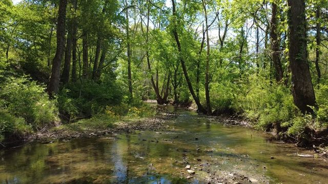 293 E Piney Rd, Dickson