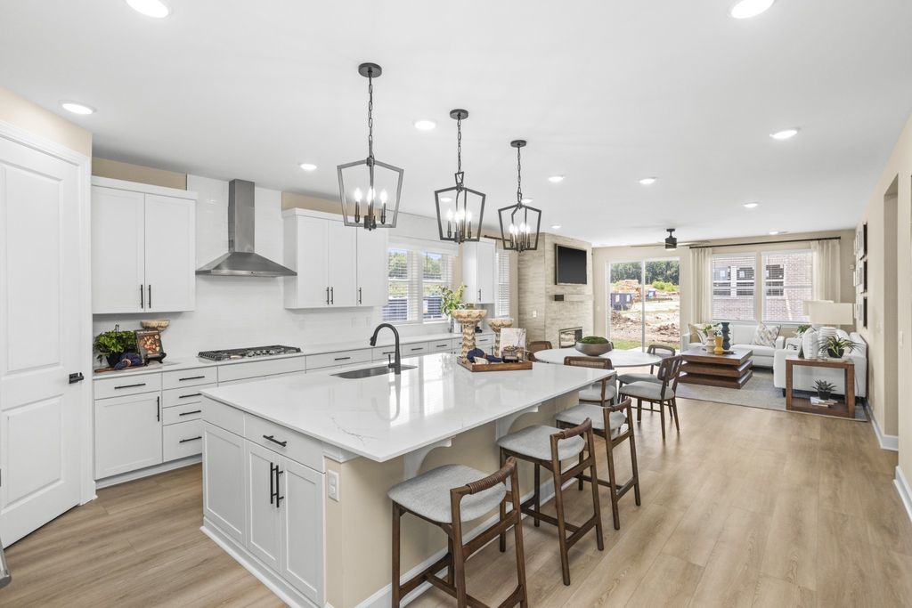 403 Downs Lane, Mount Juliet
