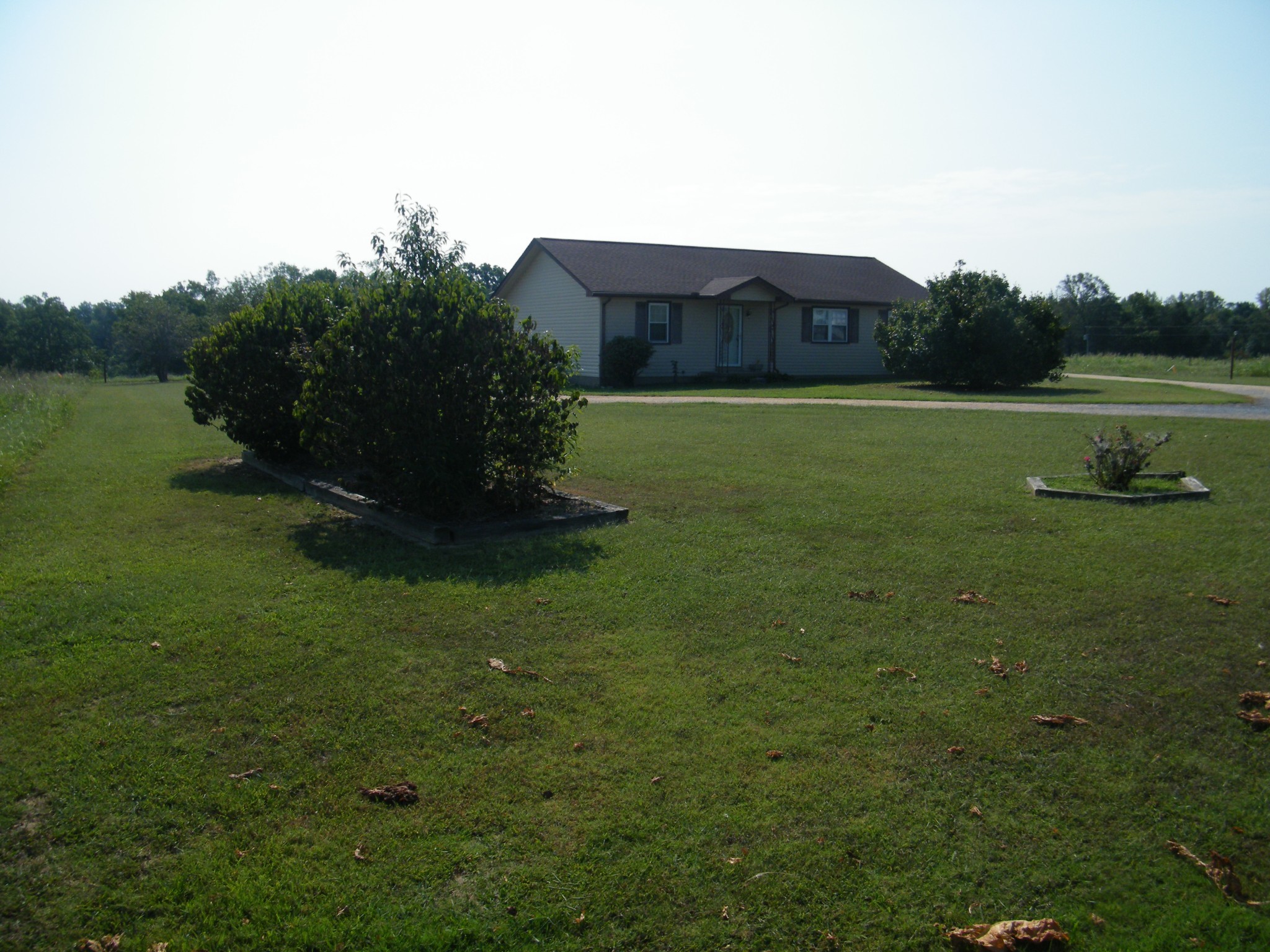 Photo of Listing #3545829