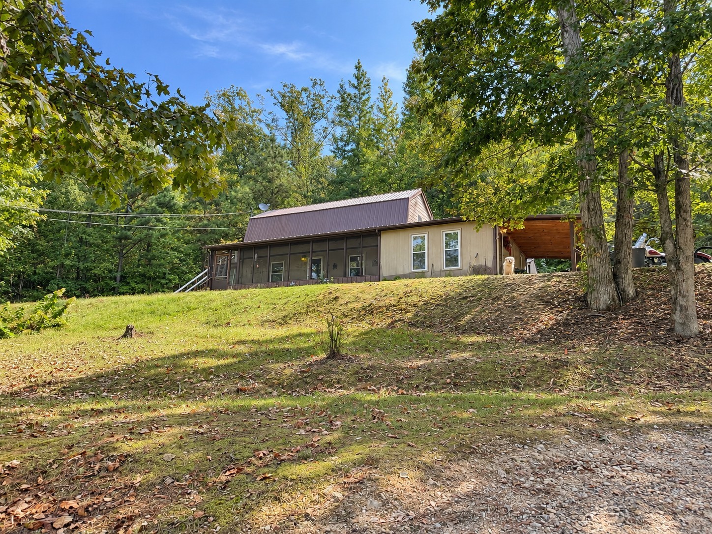 Photo of Listing #3597592