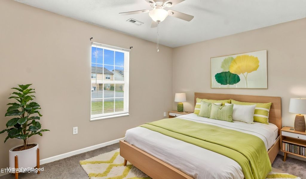 253 Dumplin Lane, Kodak