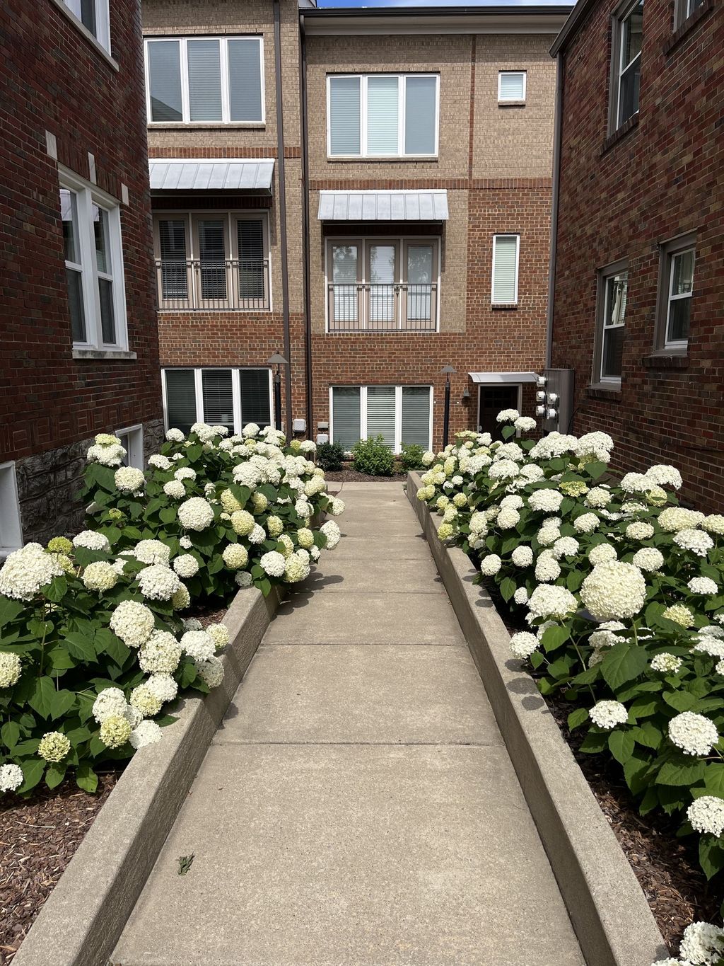 2003 Convent Pl 6, Nashville