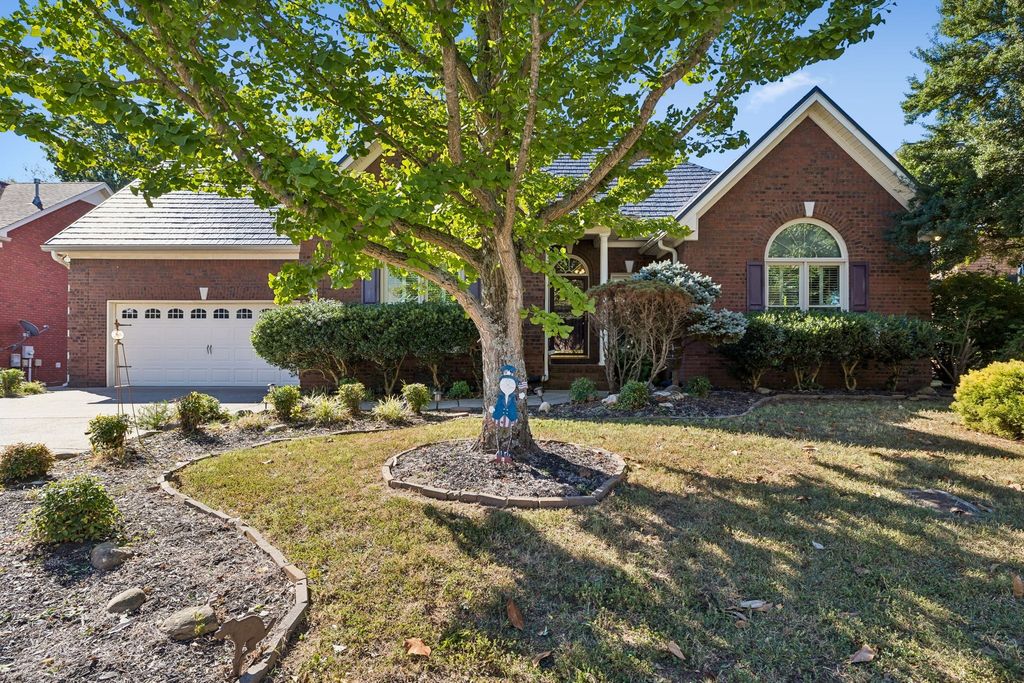234 White Cloud Trl, Murfreesboro