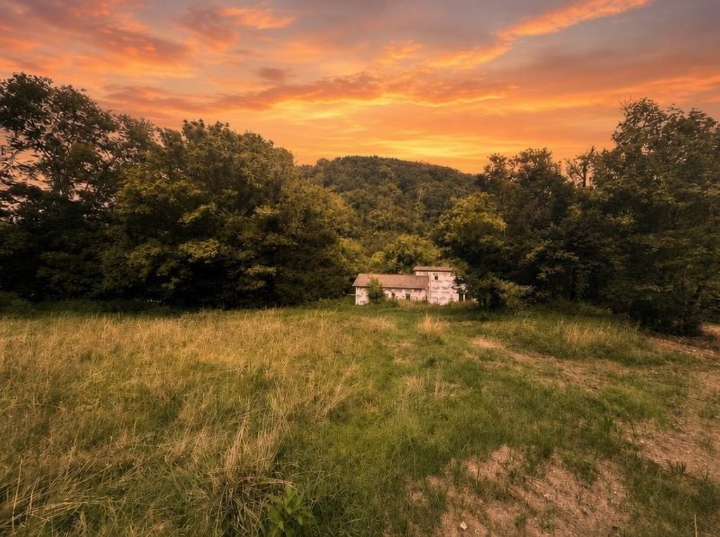 303 Little Creek Rd, Pleasant Shade