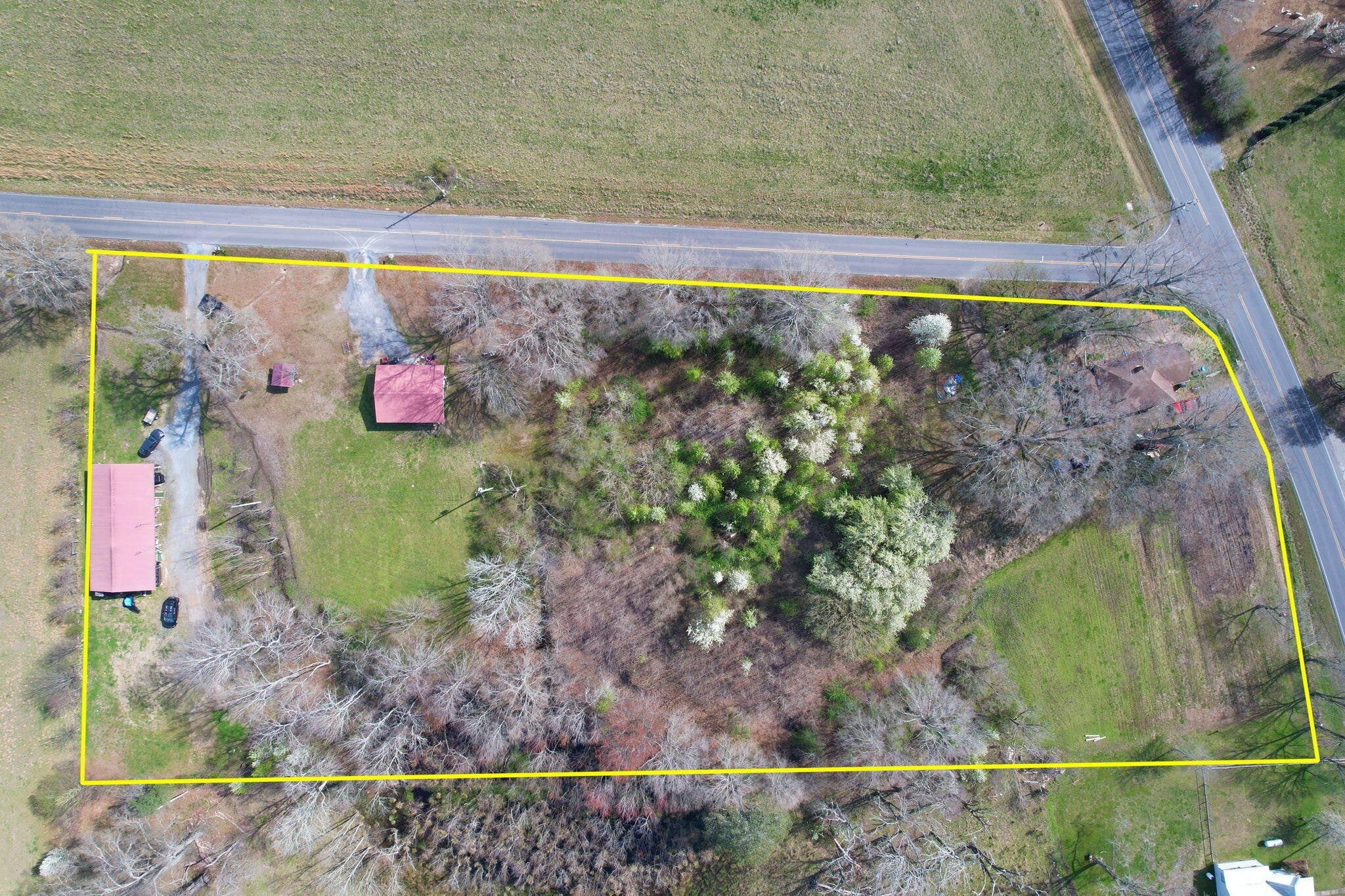Photo of Listing #2865530