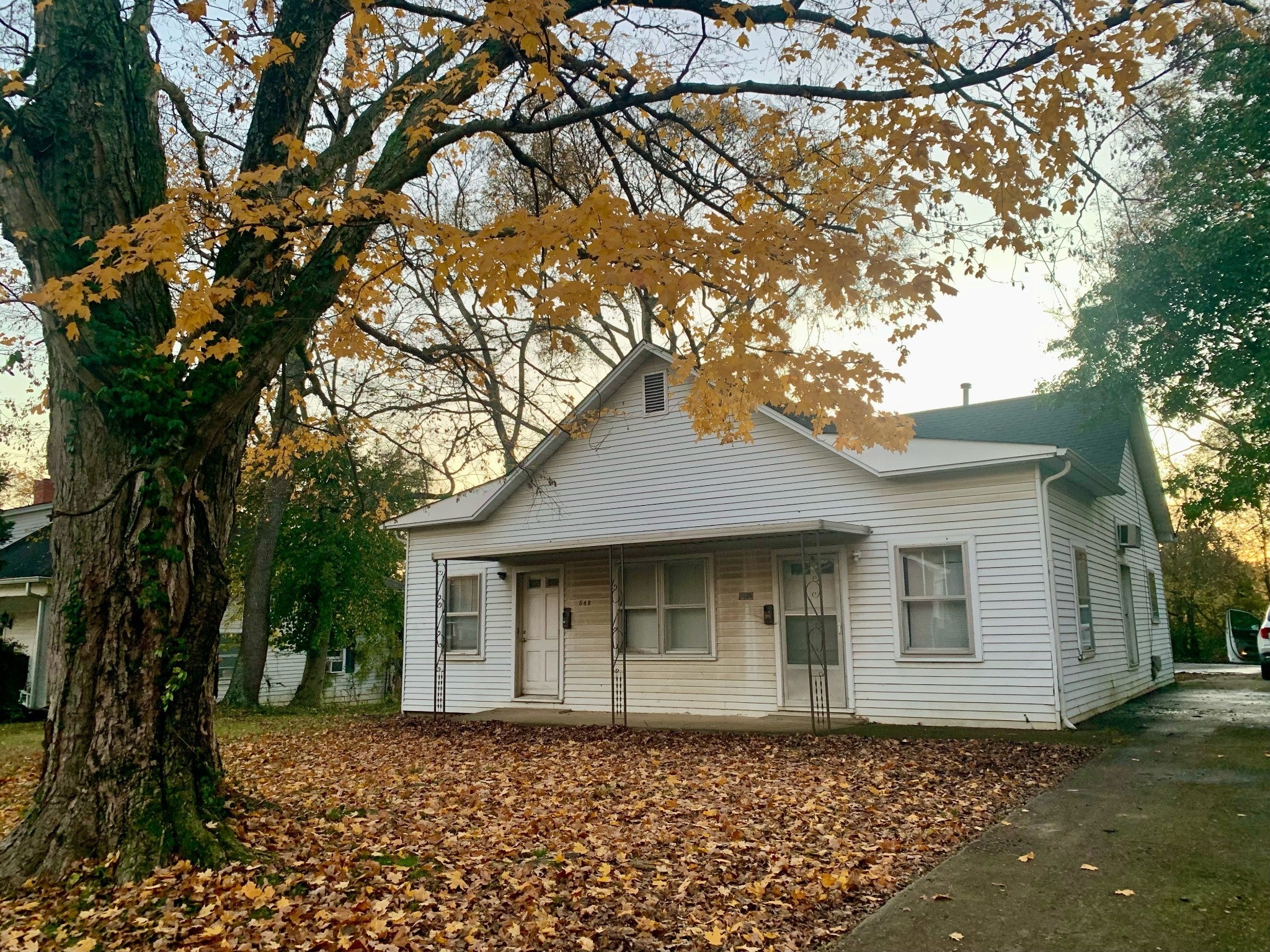 Photo of Listing #3036132