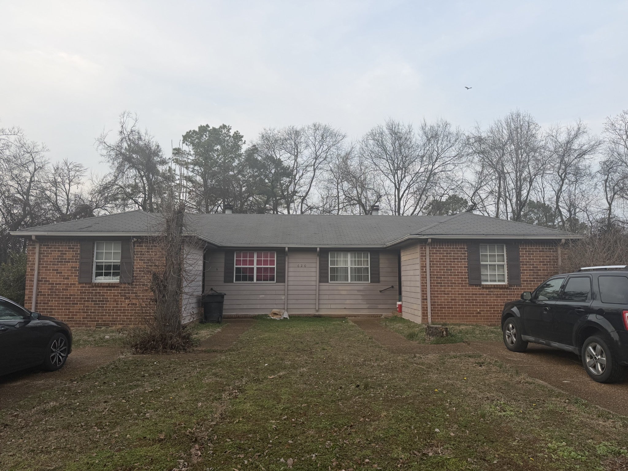 Photo of Listing #3137840