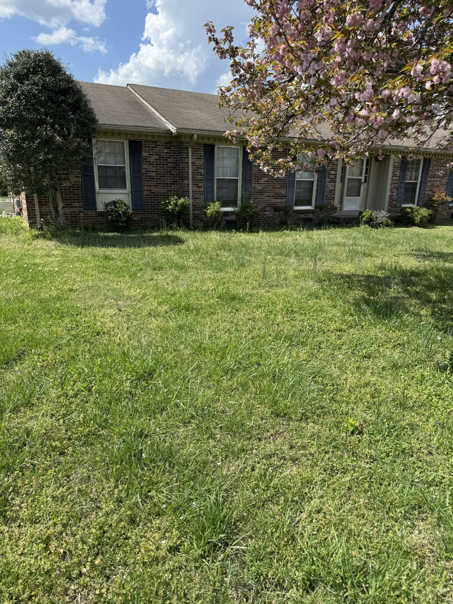 Photo of Listing #2817473