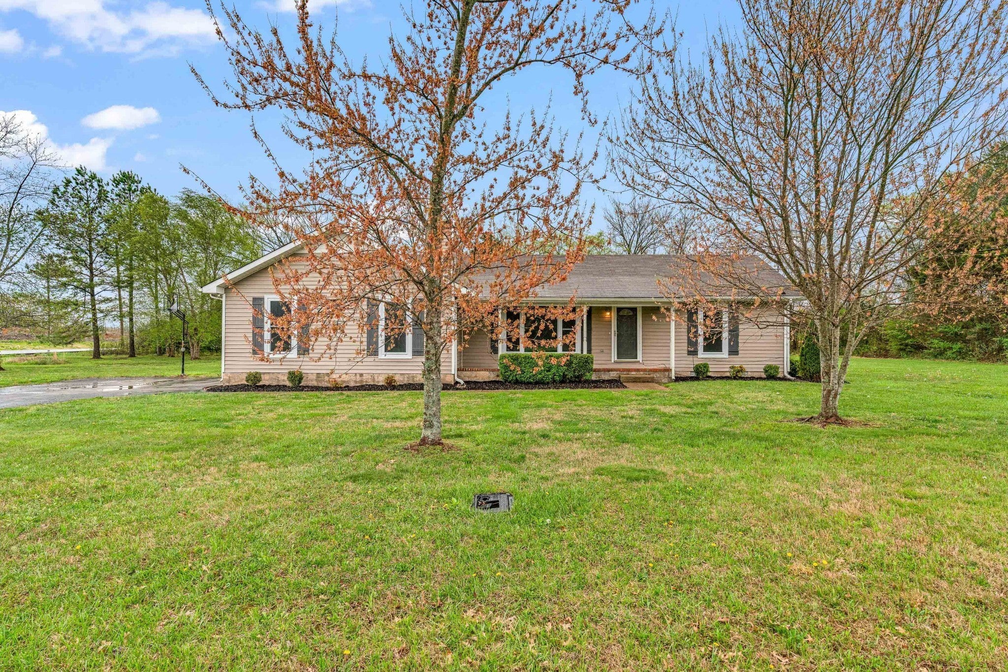 Photo of Listing #2818208
