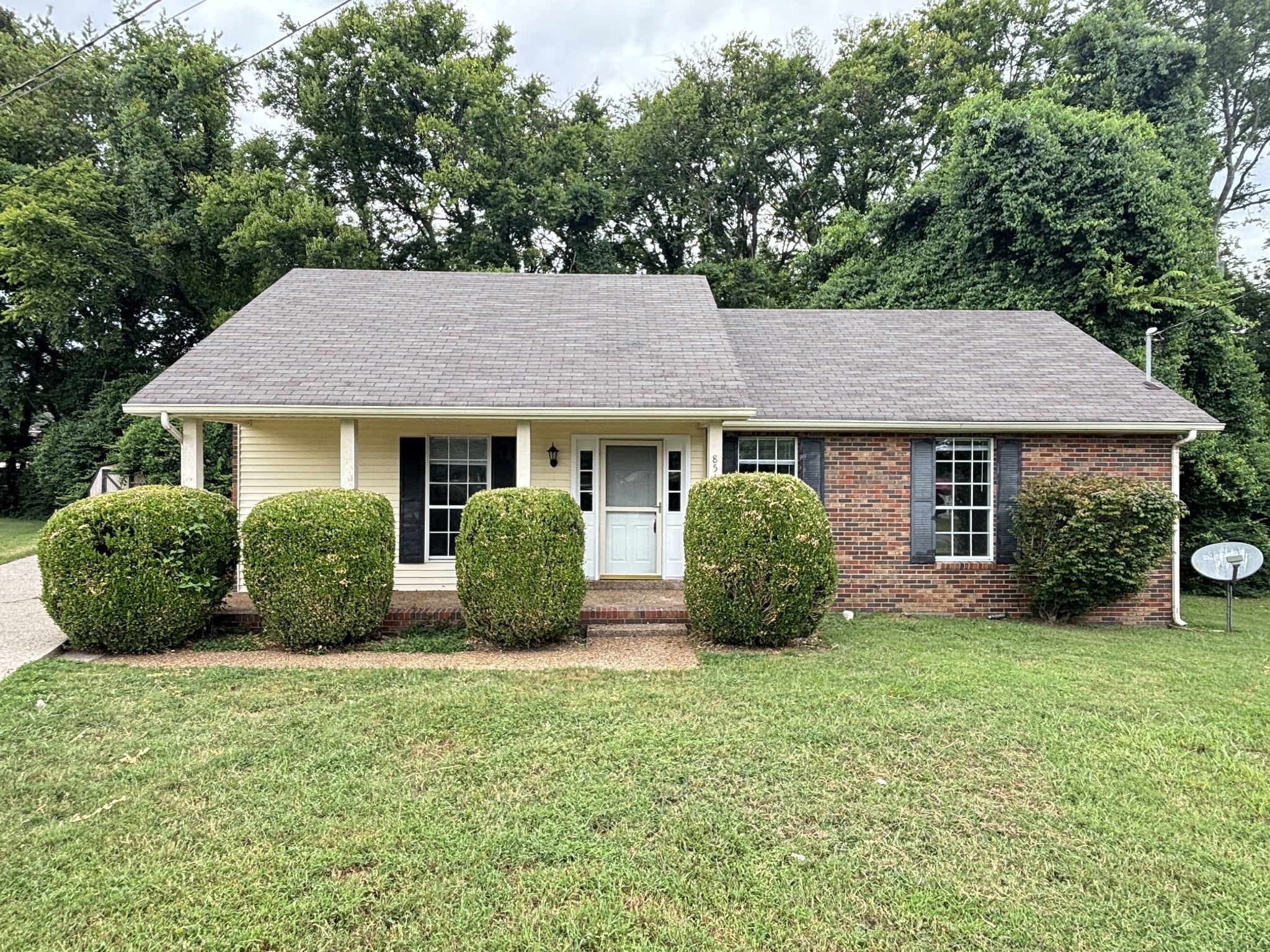 Photo of Listing #2969870