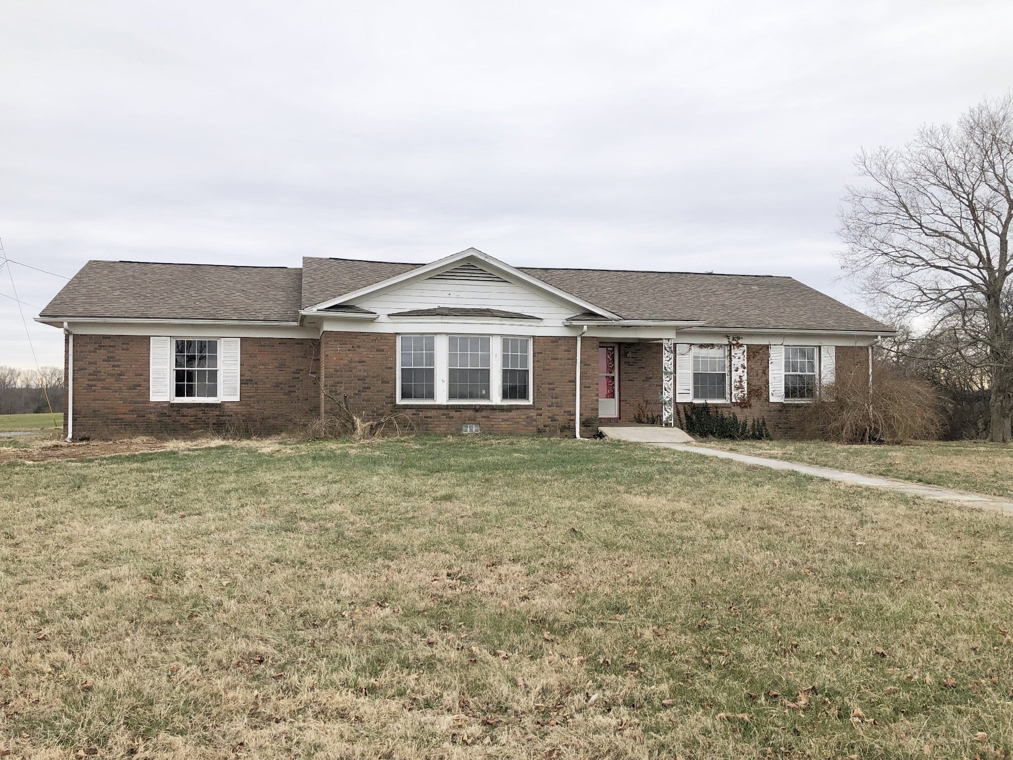 Photo of Listing #2973693