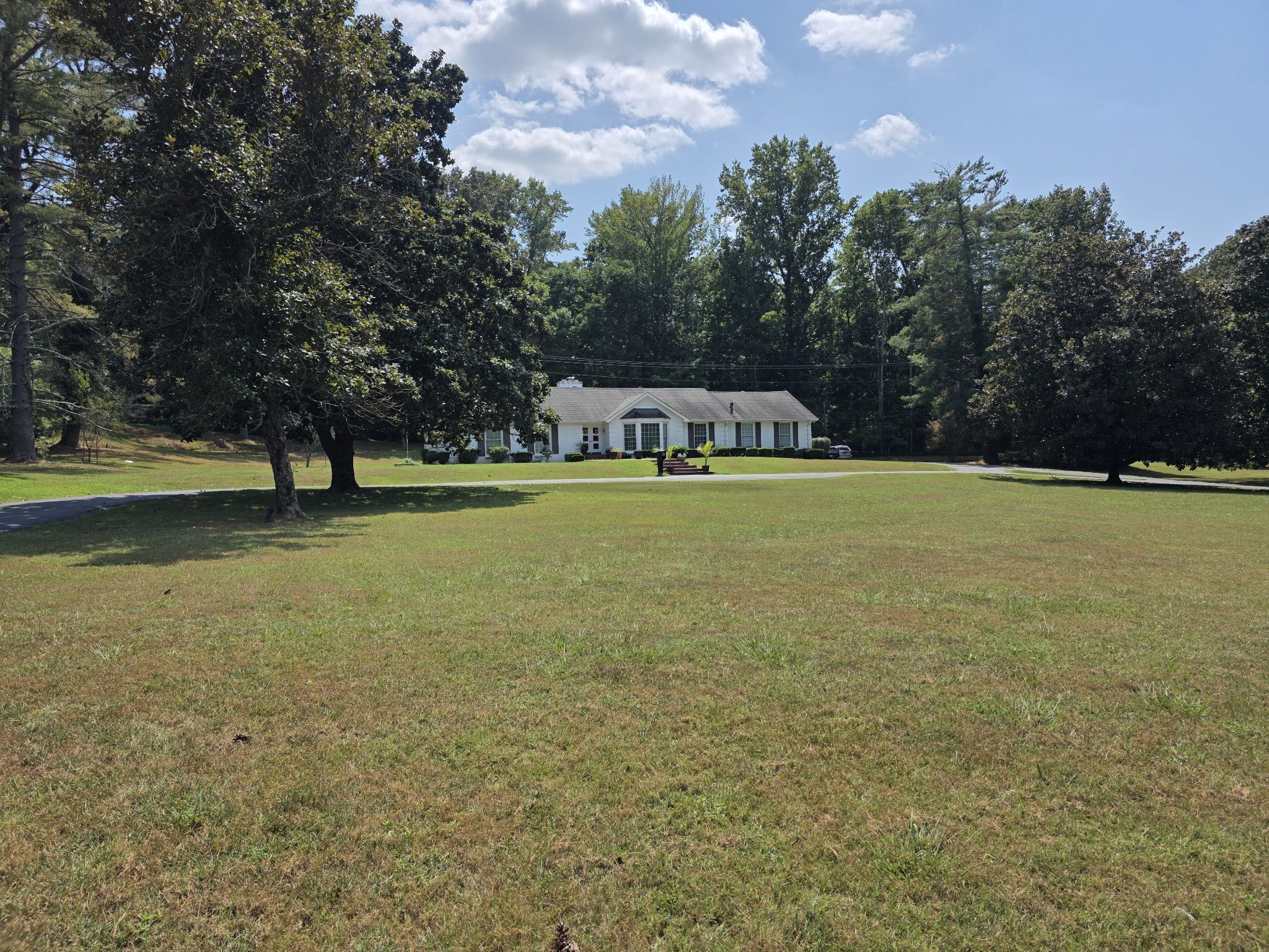 Photo of Listing #2975872
