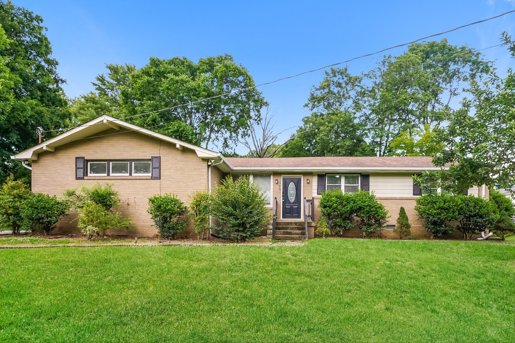 Photo of Listing #2979160