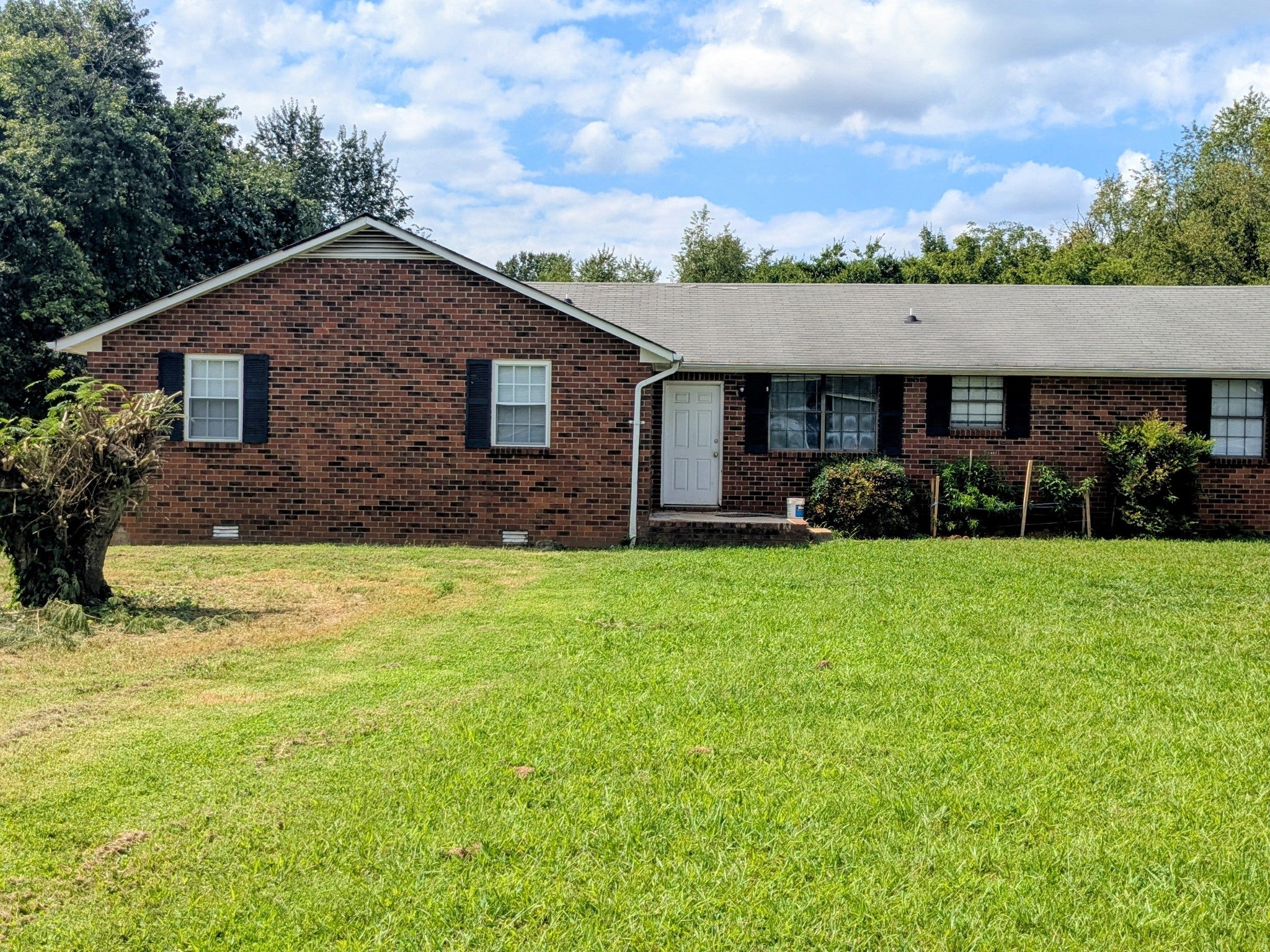Photo of Listing #2979505