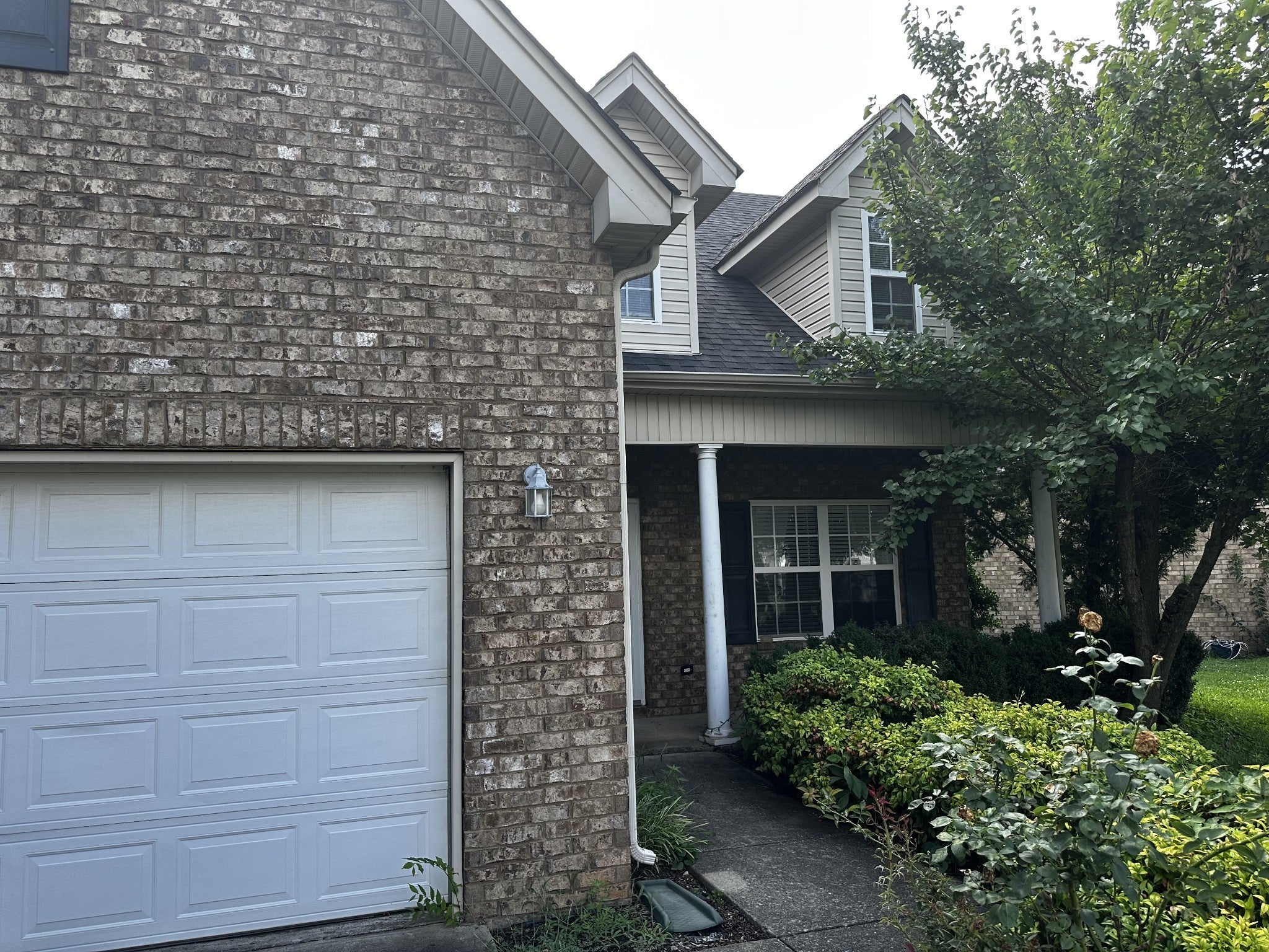 Photo of Listing #2980450