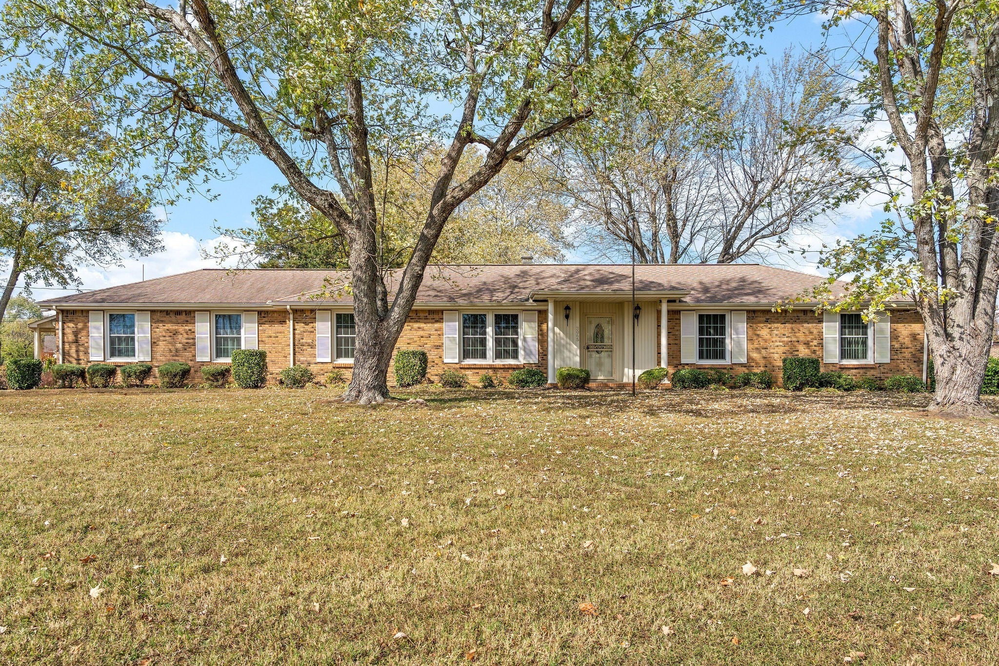 Photo of Listing #2988469