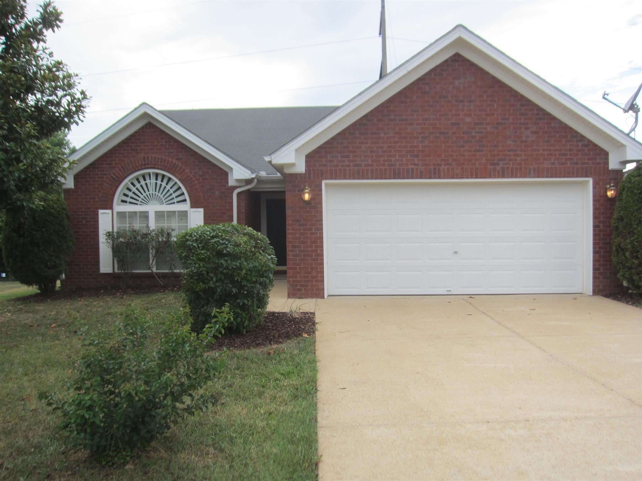 Photo of Listing #3001584