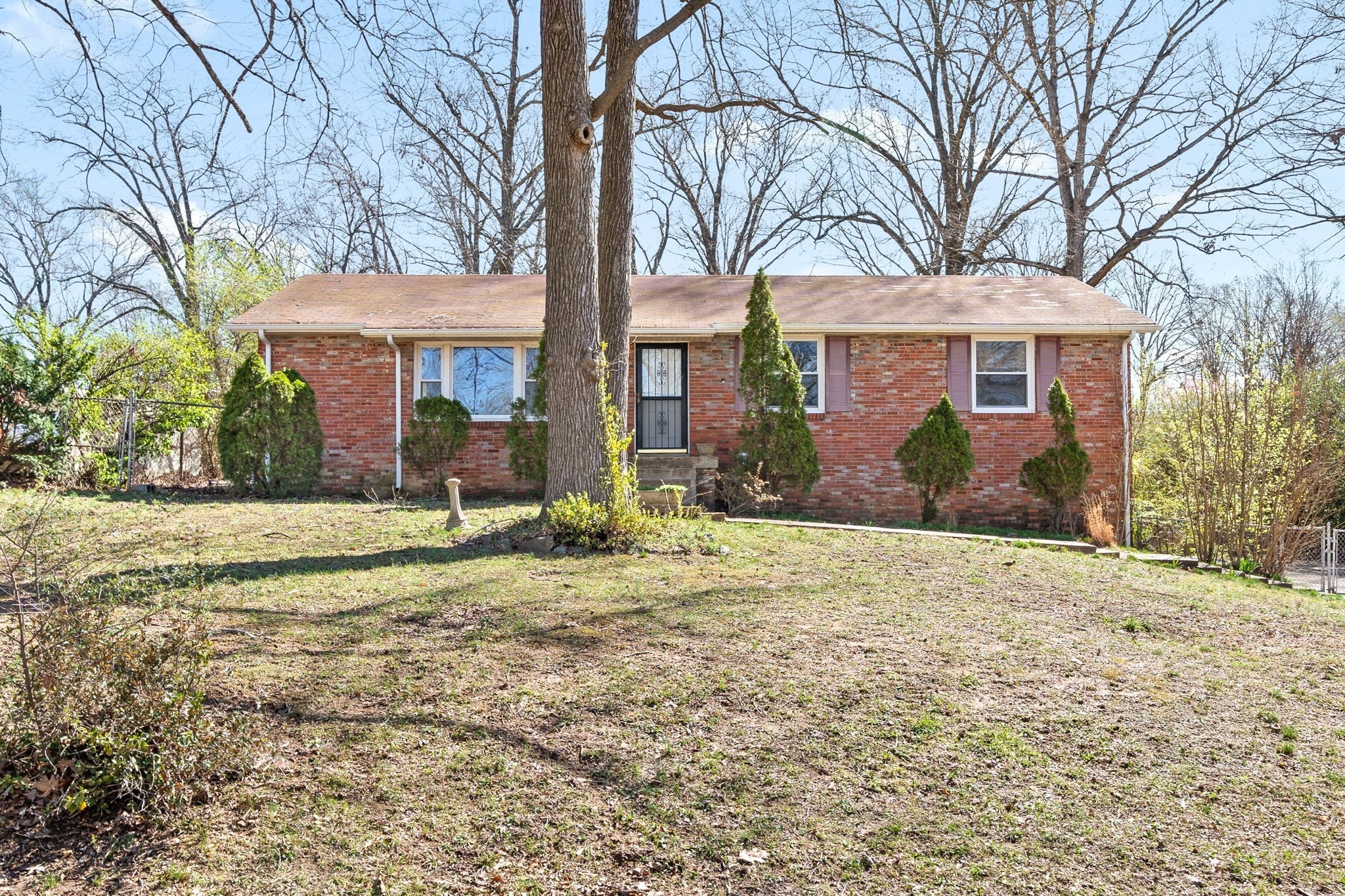 Photo of Listing #3001921