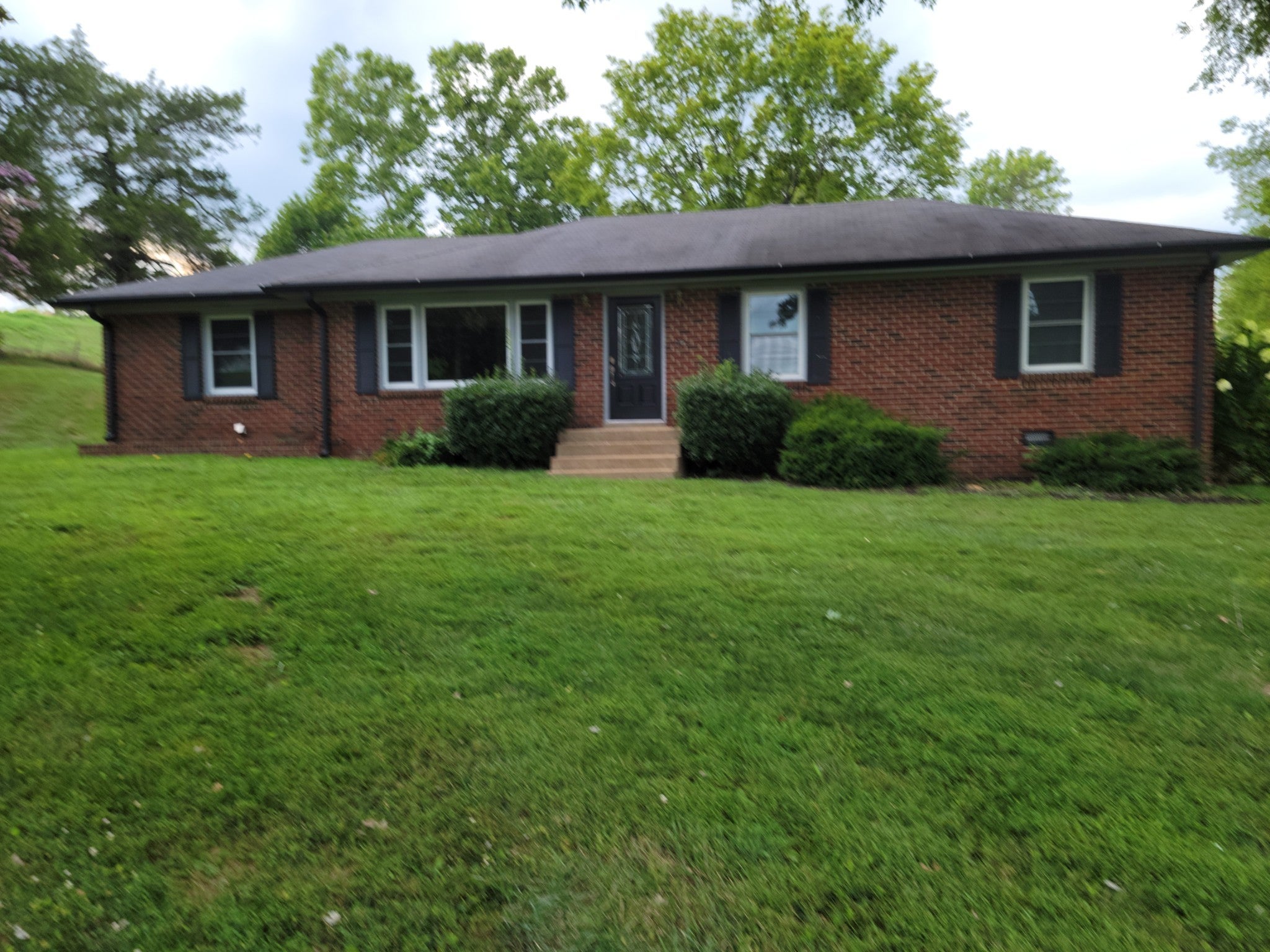 Photo of Listing #3031087