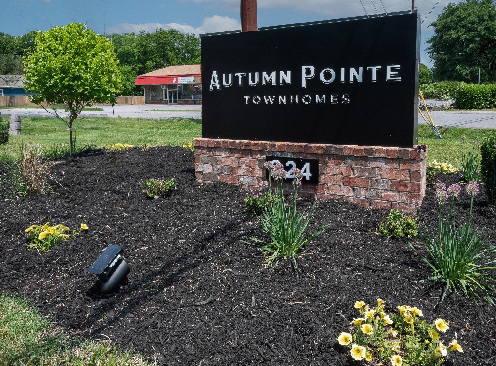 Photo of Listing #3038519