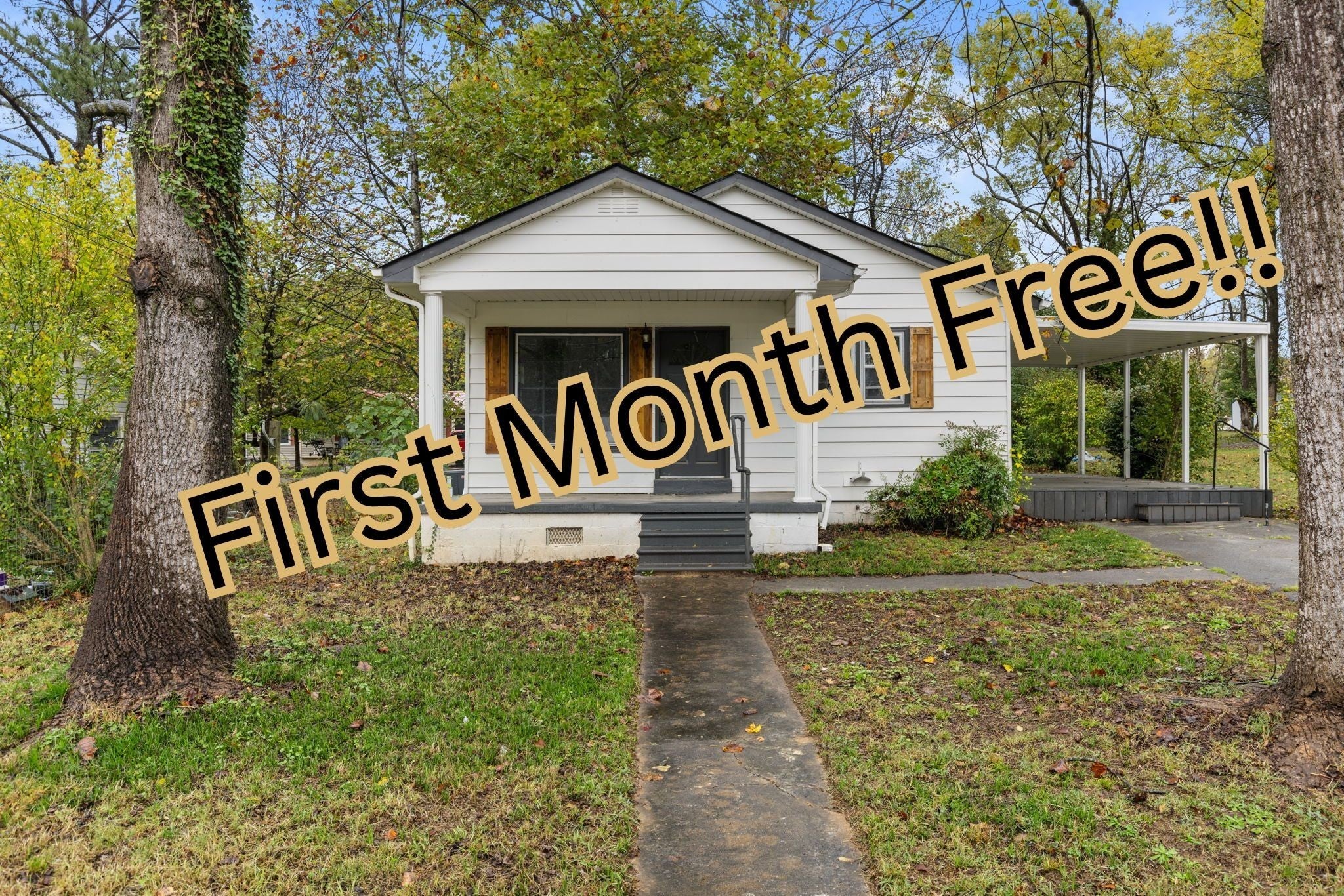 Photo of Listing #3039354