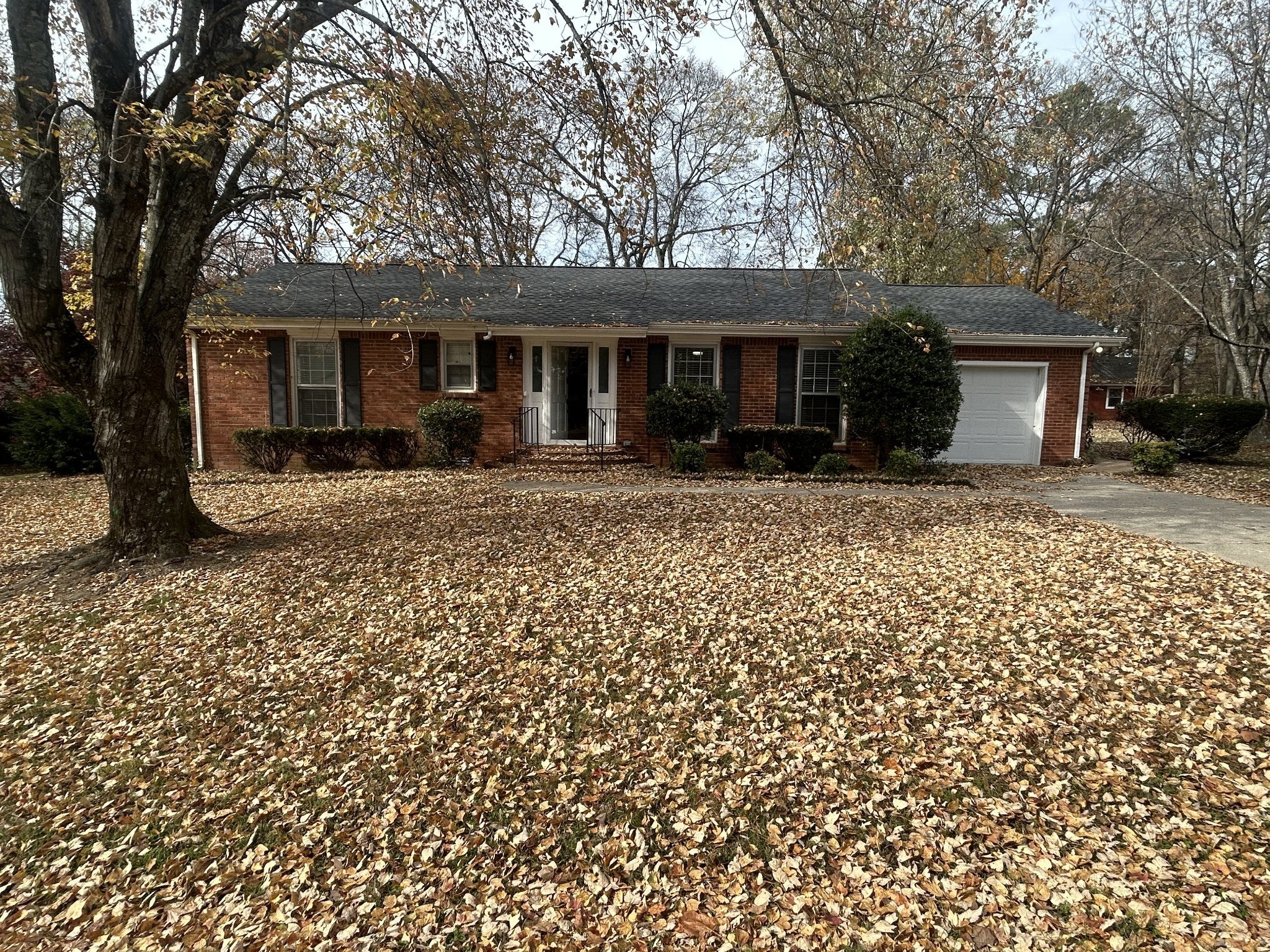 Photo of Listing #3045914