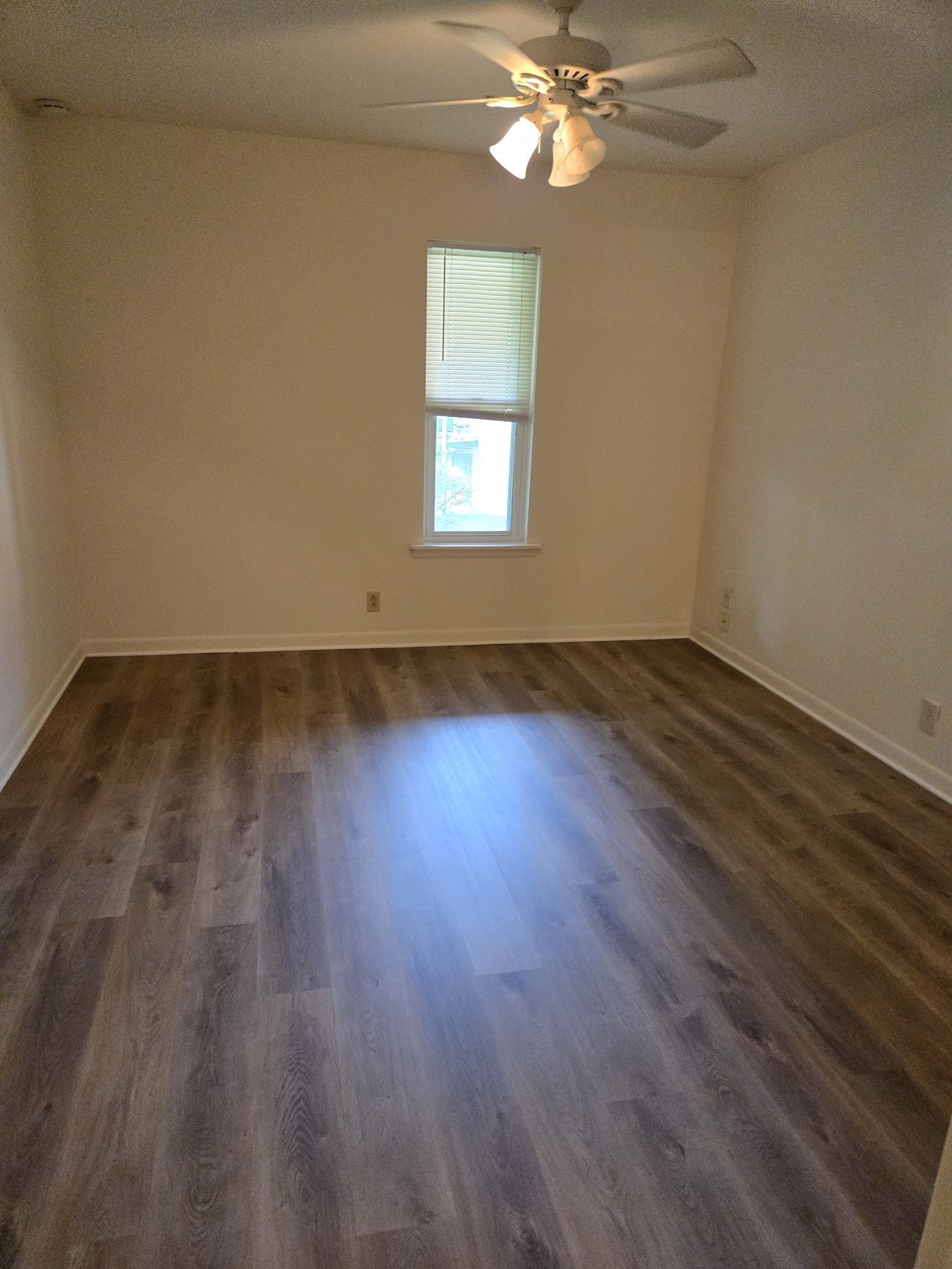 Photo of Listing #3048070