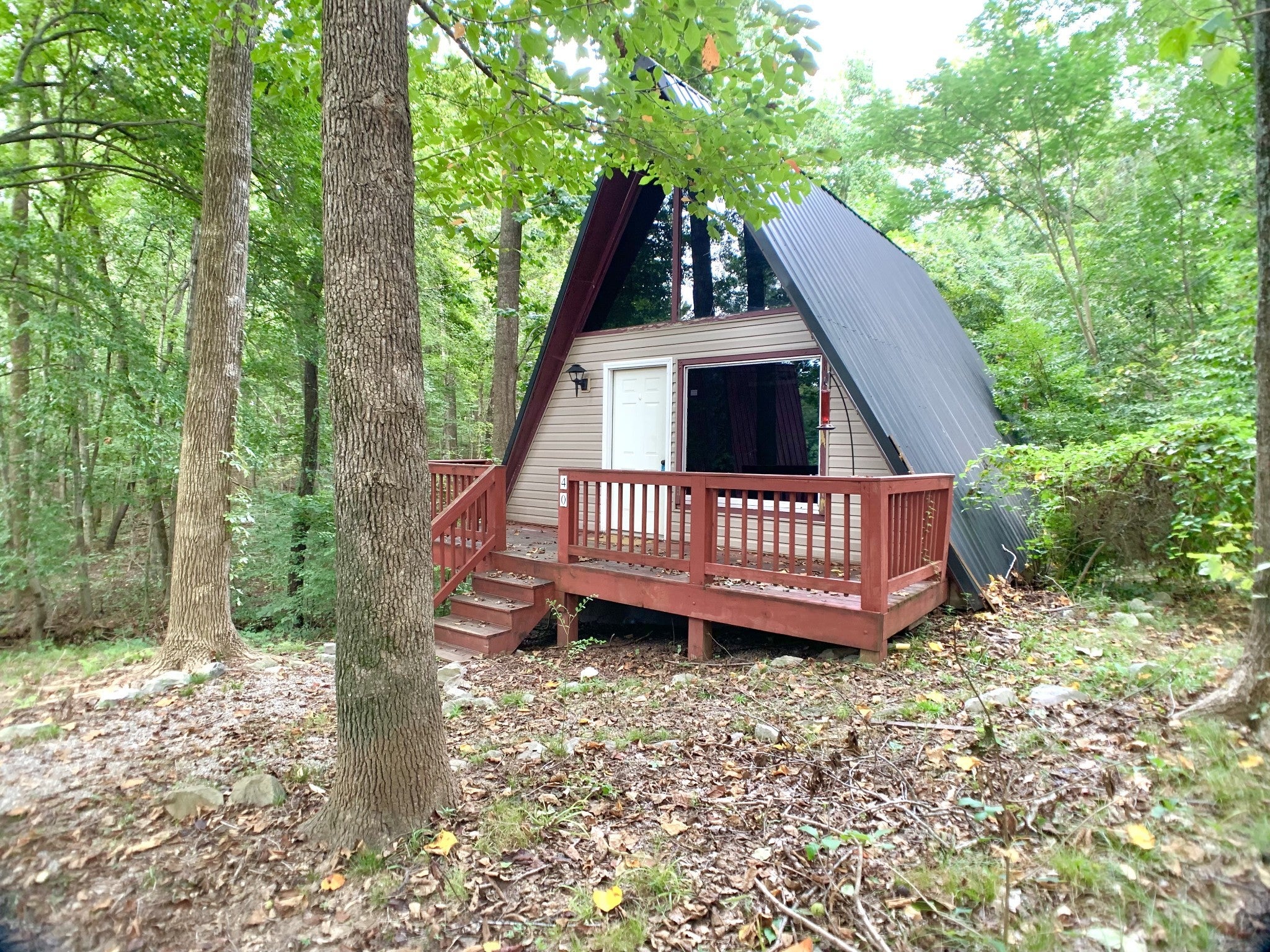 Photo of Listing #3049133