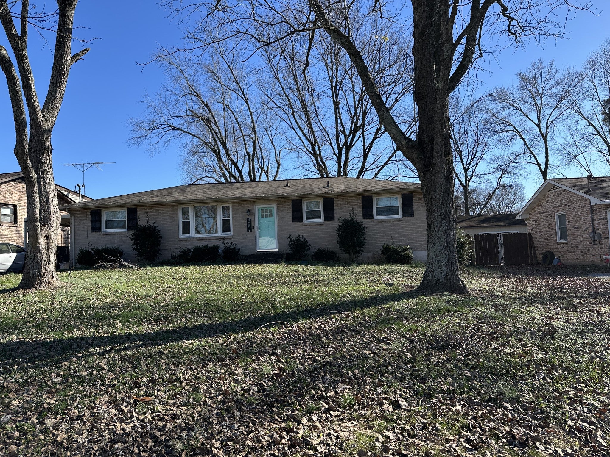 Photo of Listing #3051088