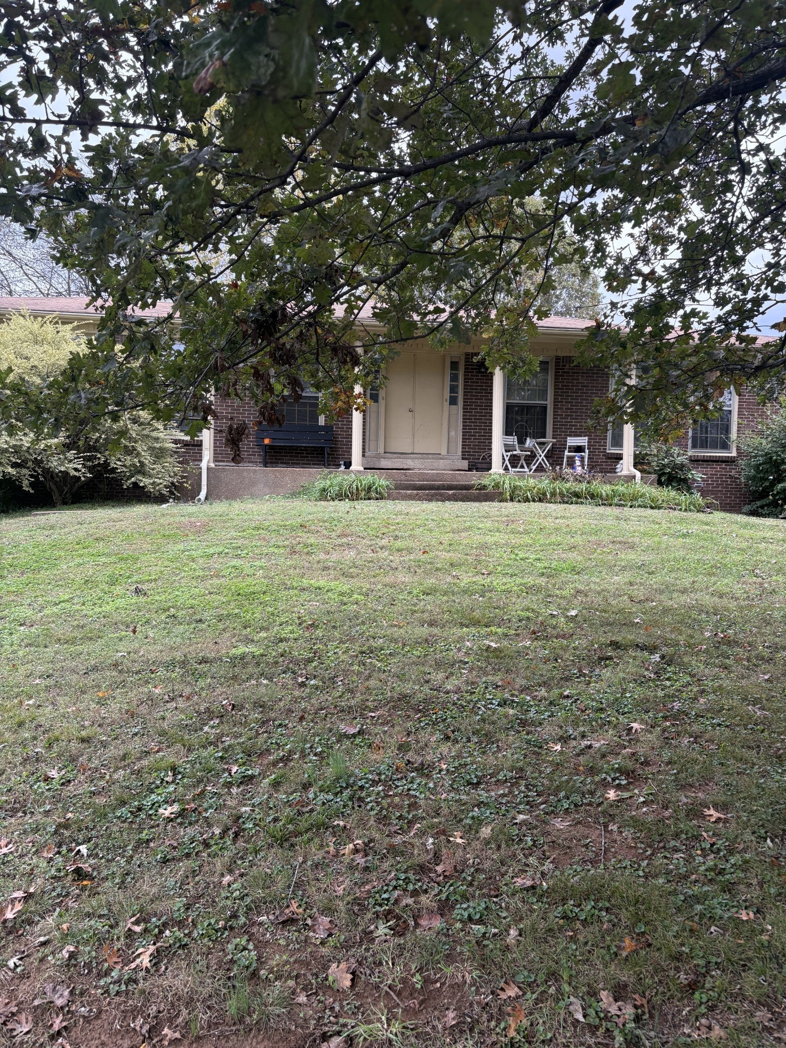 Photo of Listing #3054569