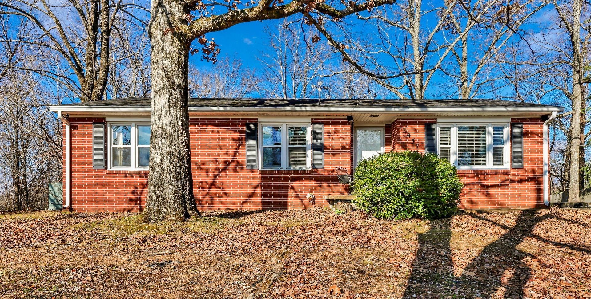 Photo of Listing #3059617