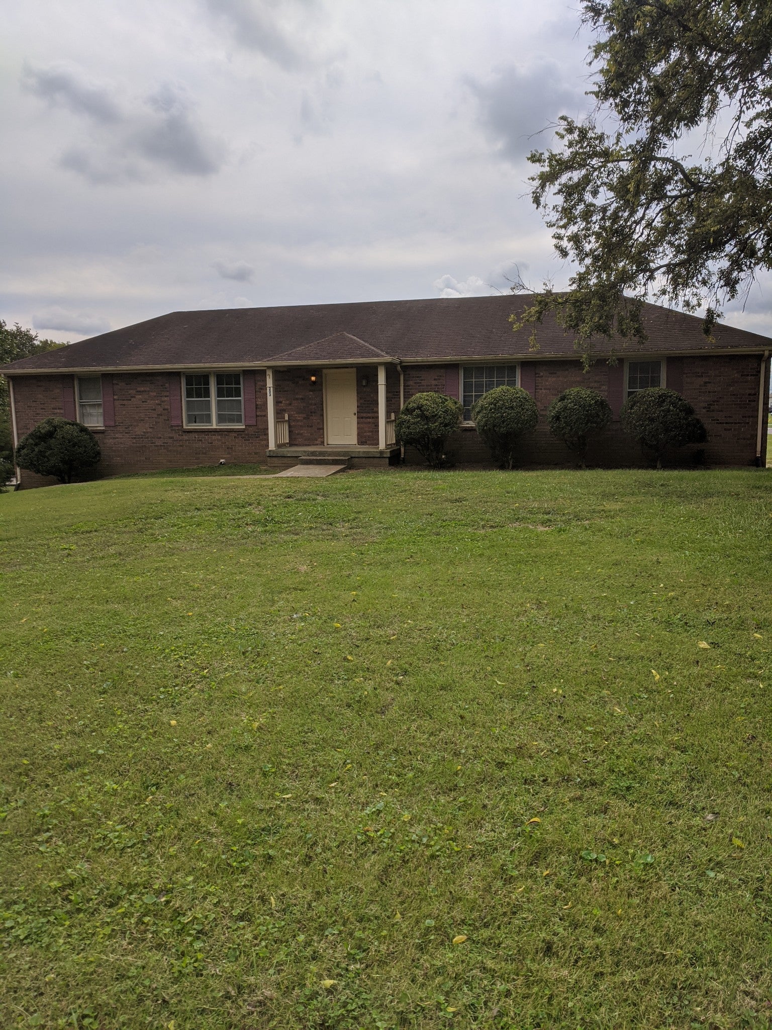 Photo of Listing #3061233