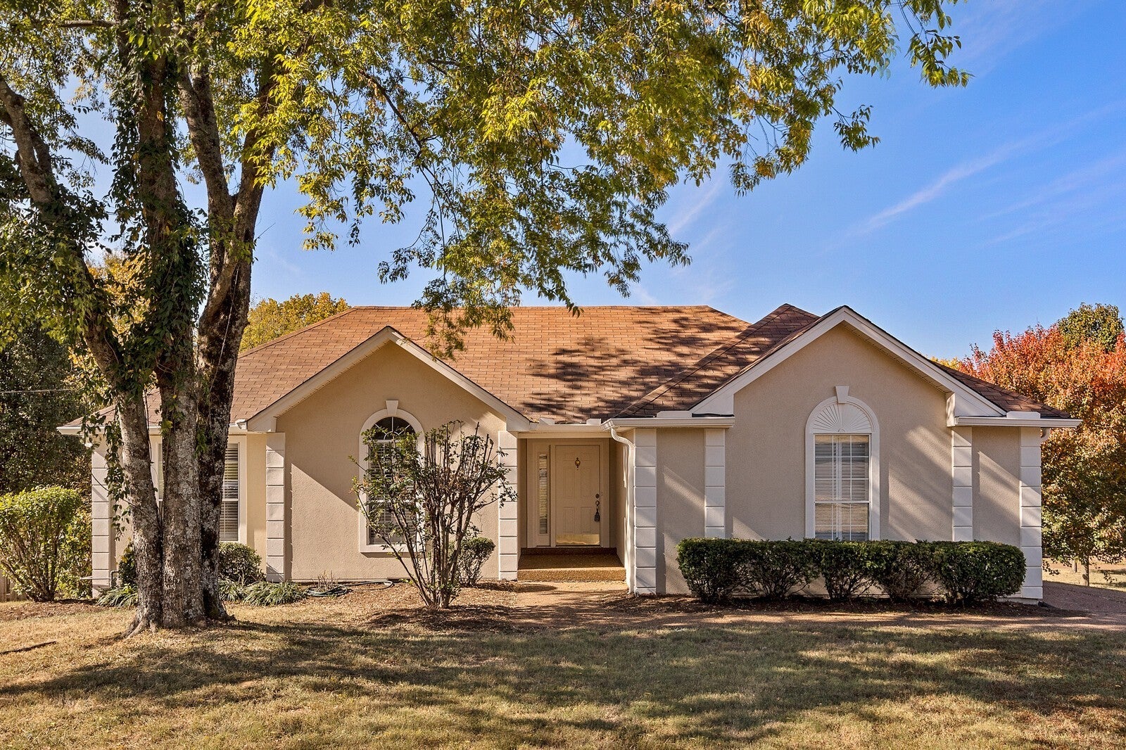 Photo of Listing #3061631