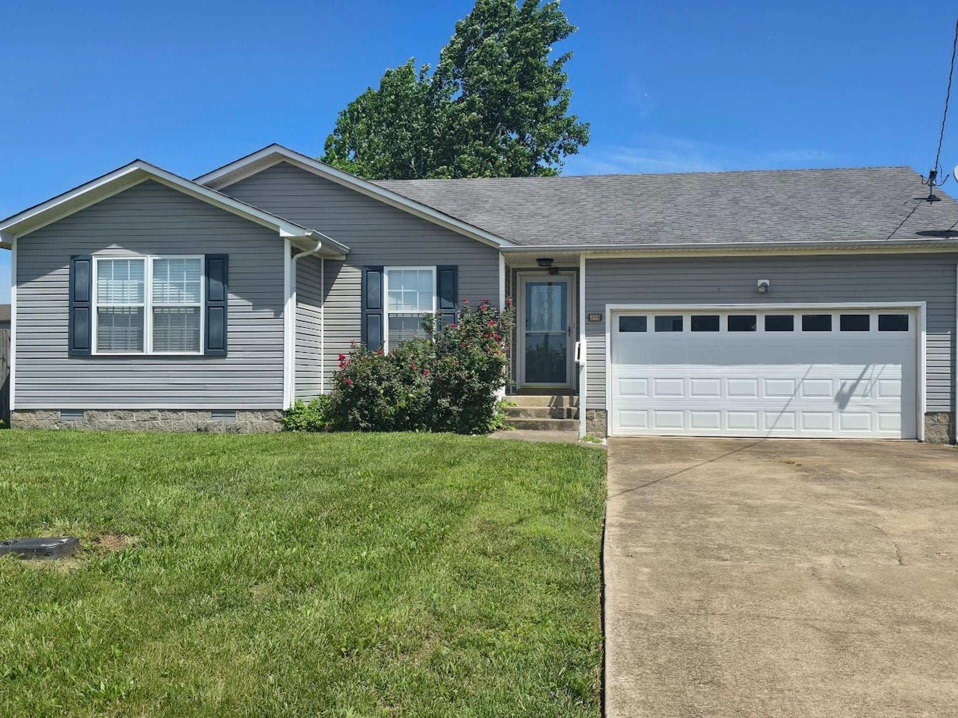 Photo of Listing #3065084