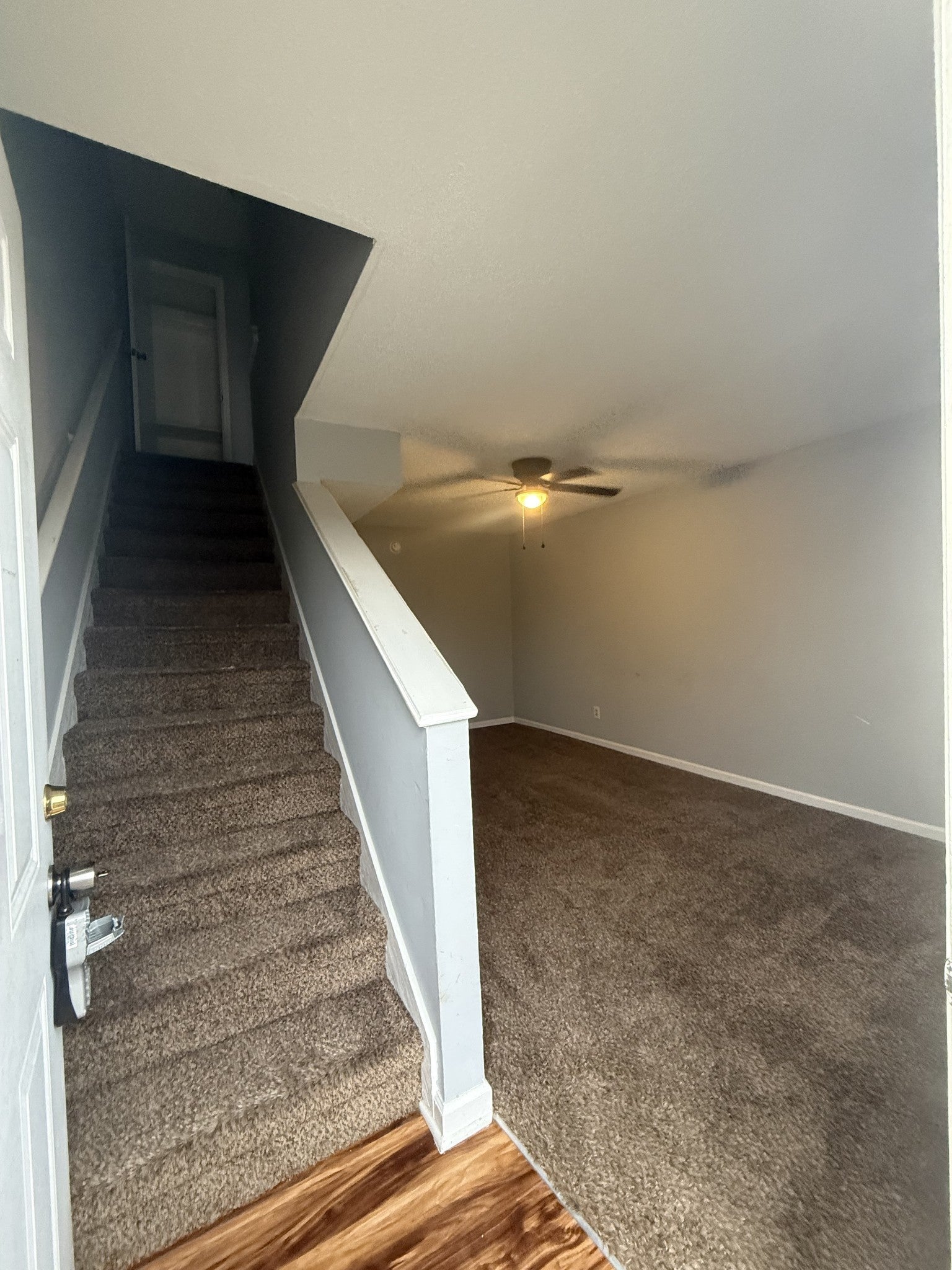 Photo of Listing #3065426