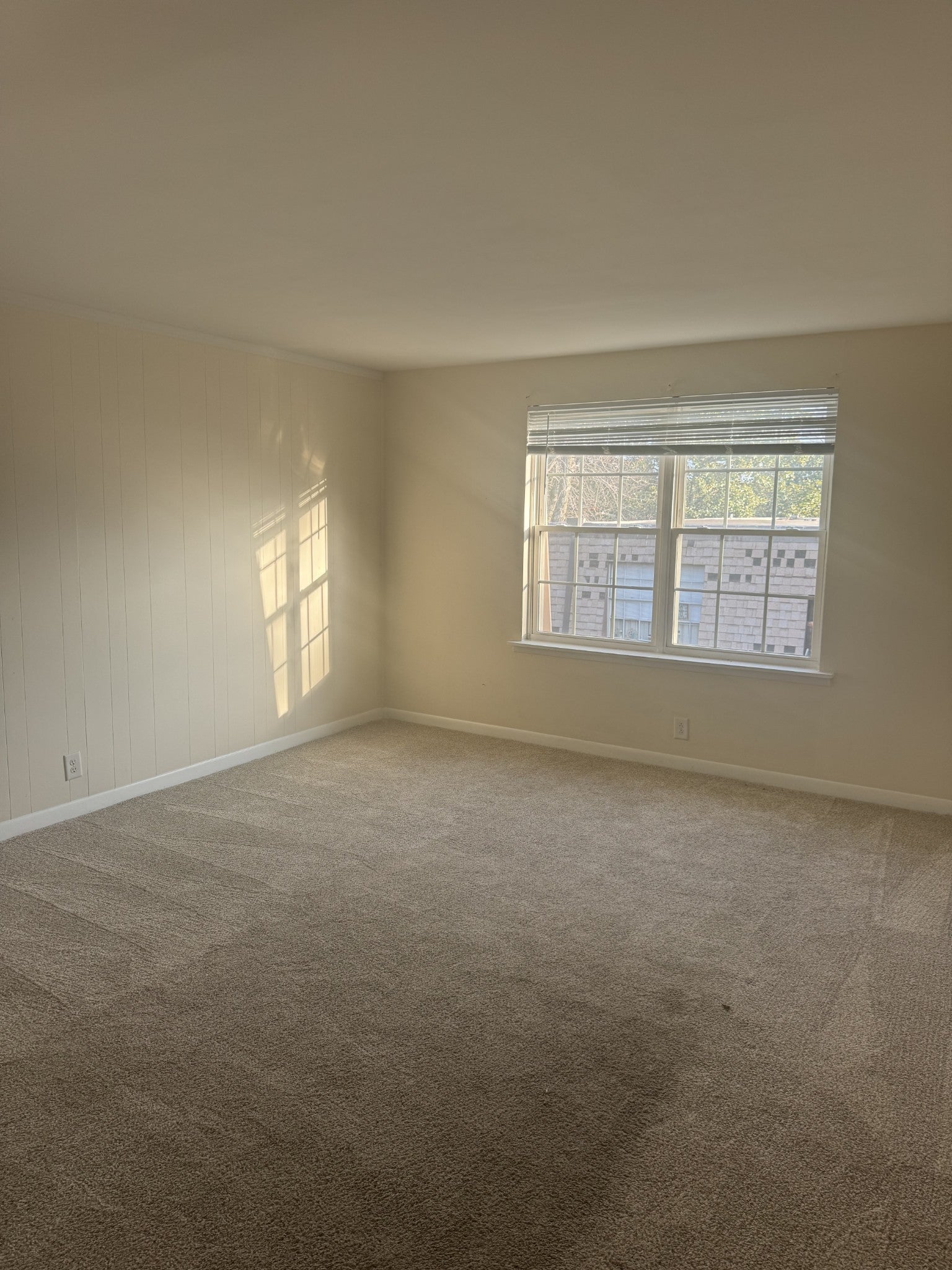 Photo of Listing #3071879